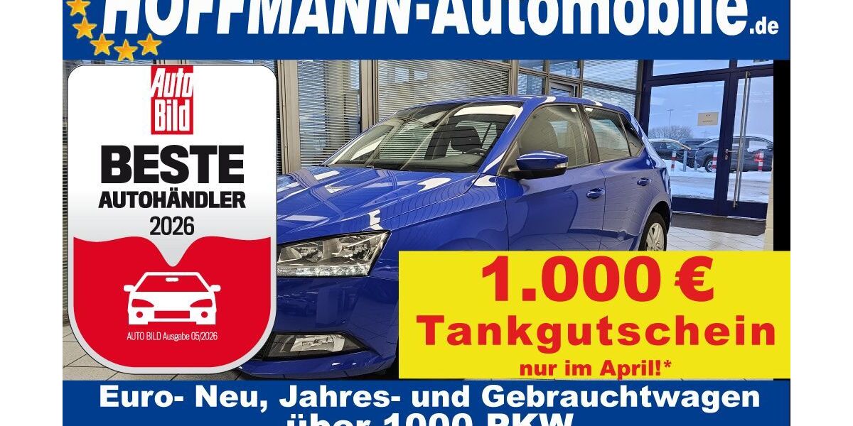 Skoda Fabia 45.906 km 12.900 &euro; Wolfsburg-Heiligendorf 38444