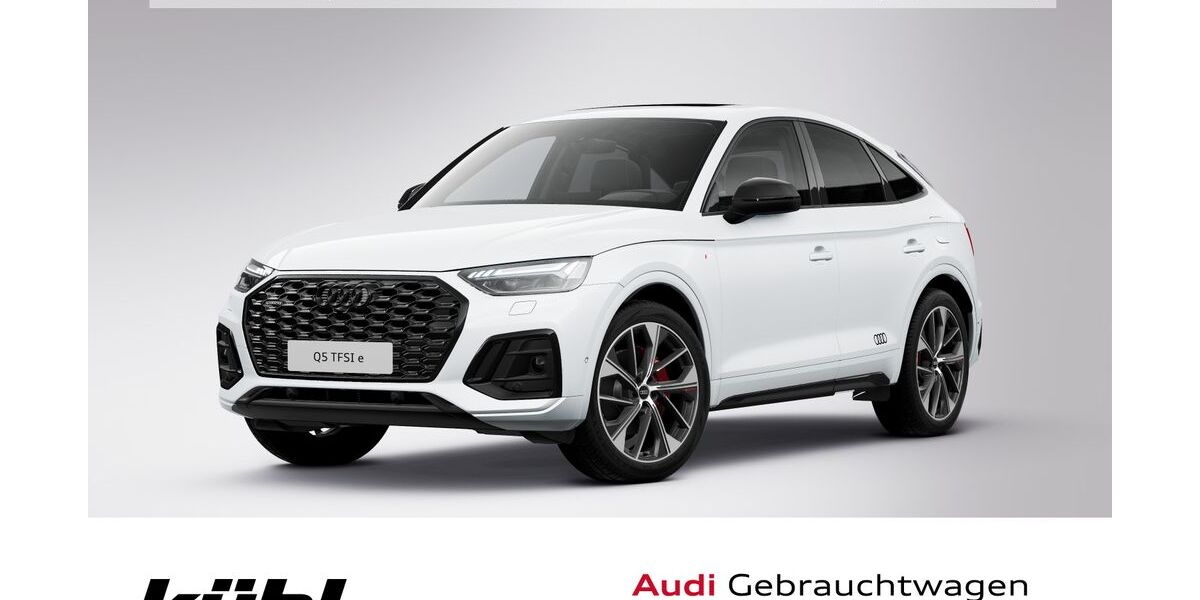 Audi Q5 113.710 km 34.480 &euro; Gifhorn 38518