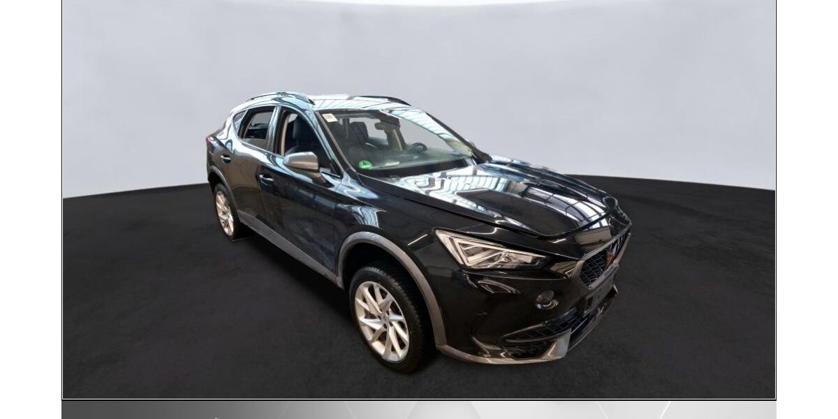 Cupra Formentor 33.000 km 25.470 &euro; Helmstedt 38350