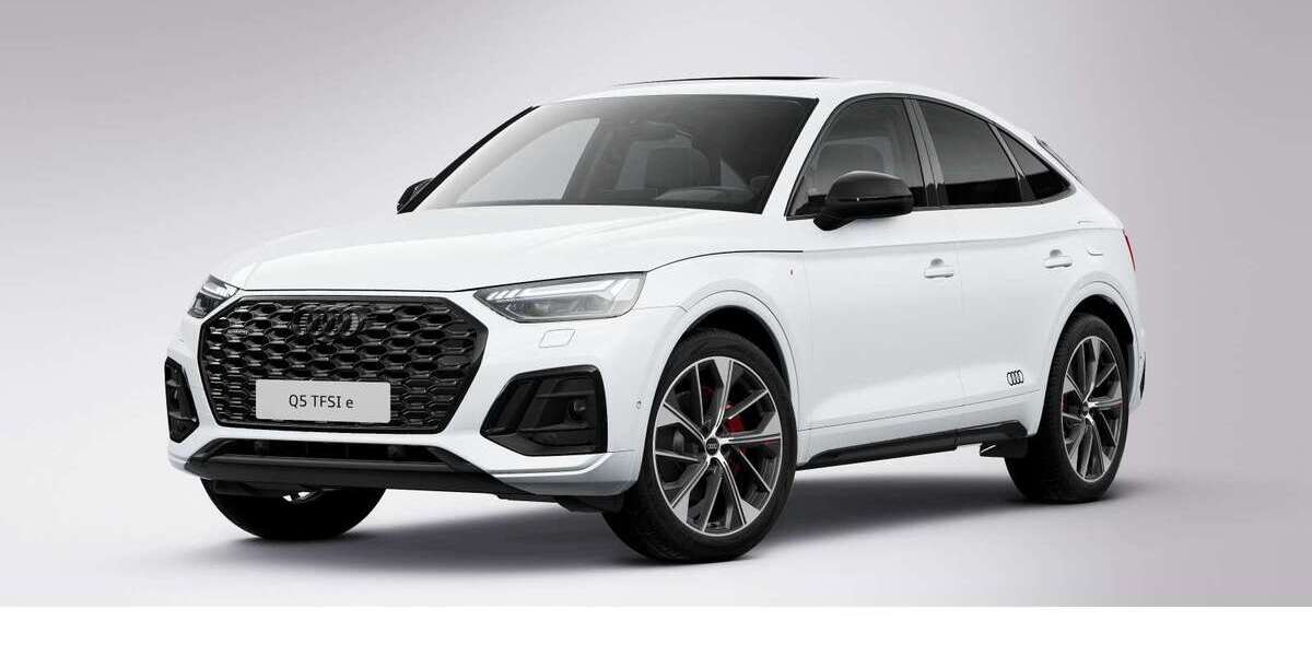 Audi Q5 113.710 km 34.480 &euro; Gifhorn 38518