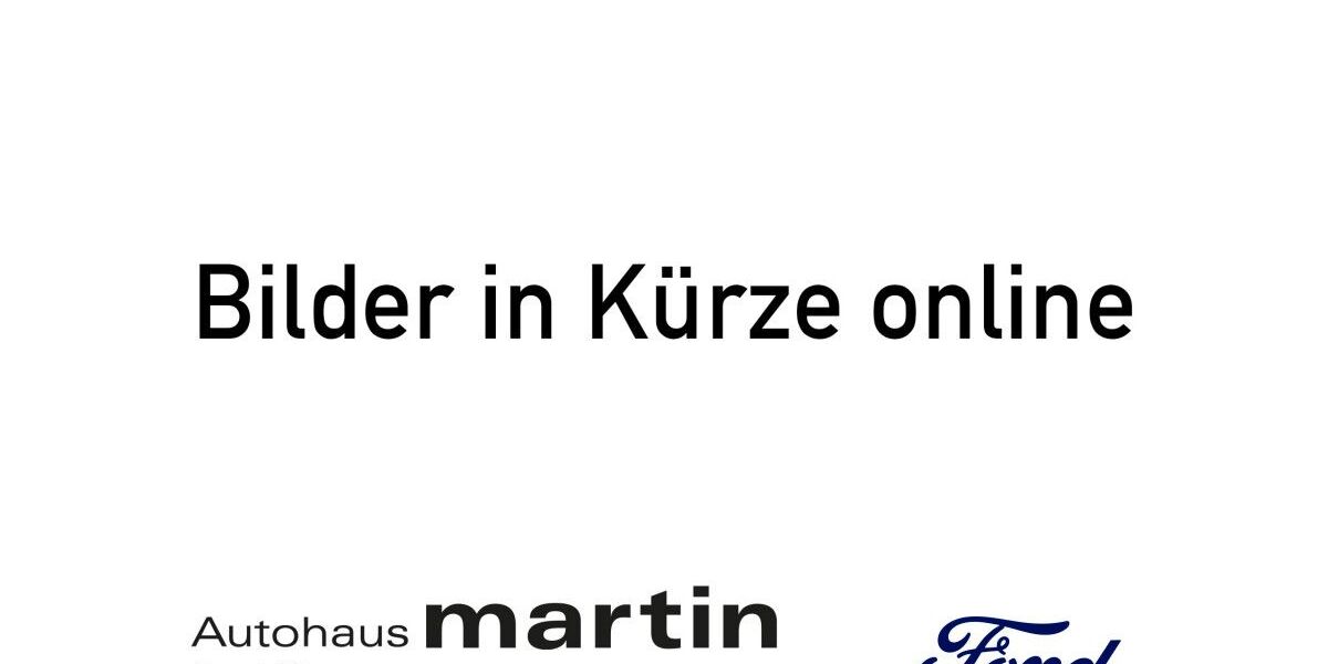 Ford EcoSport 50.800 km 12.660 &euro; Helmstedt 38350