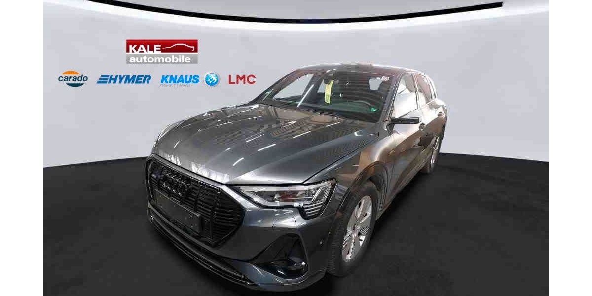 Audi e-tron 46.800 km 39.970 &euro; Helmstedt 38350