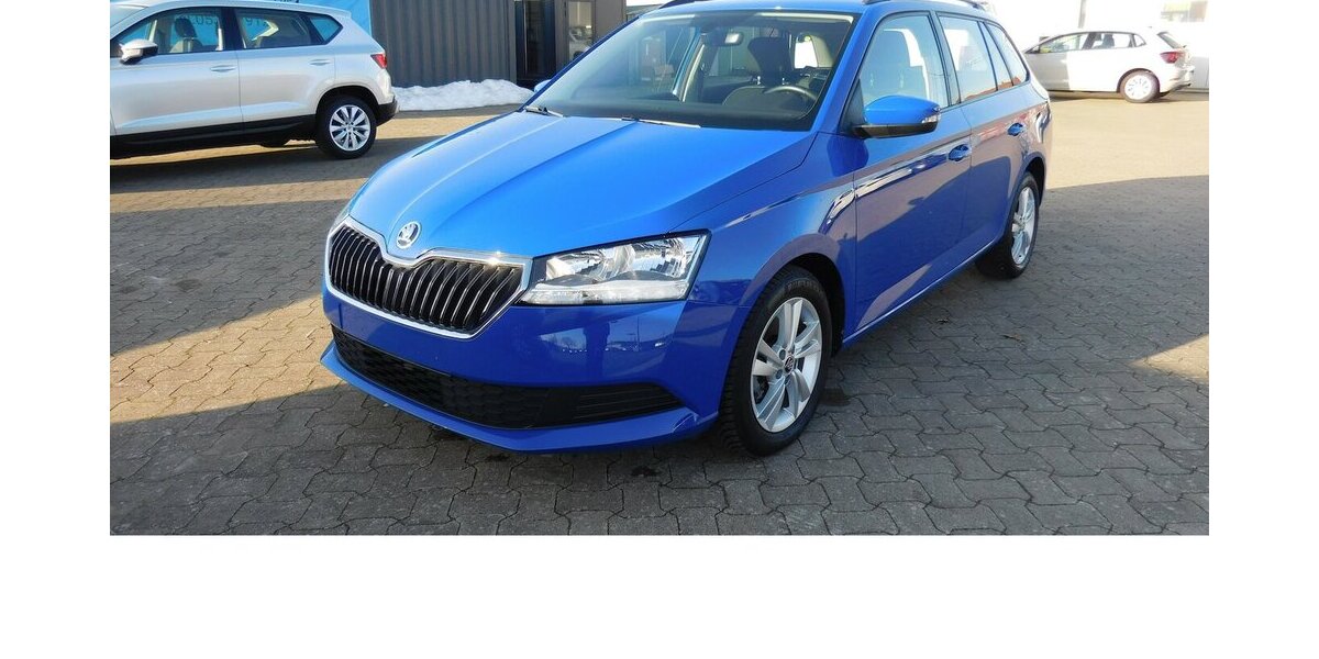 Skoda Fabia 1.0 Ambition TSI BMT DSG Navi Klima 13.000 km 16.690 &euro; Vordorf 38533