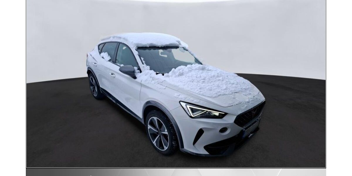 Cupra Formentor 29.967 km 26.970 &euro; Helmstedt 38350