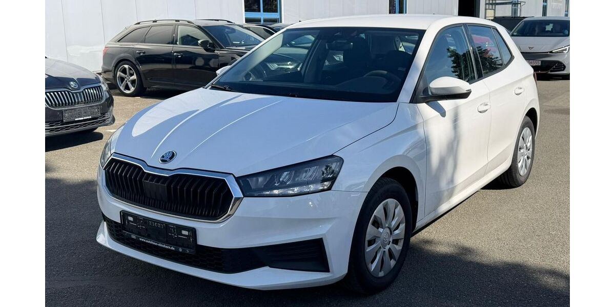 Skoda Fabia 86.345 km 10.990 &euro; Braunschweig 38122
