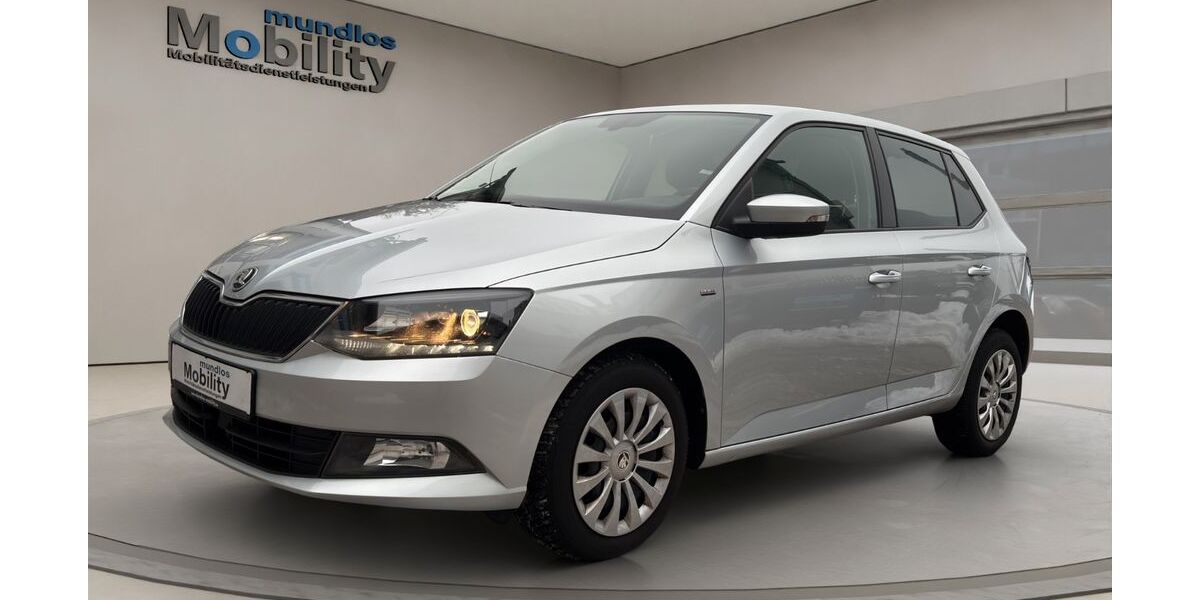 Skoda Fabia 118.500 km 11.420 &euro; Braunschweig 38114