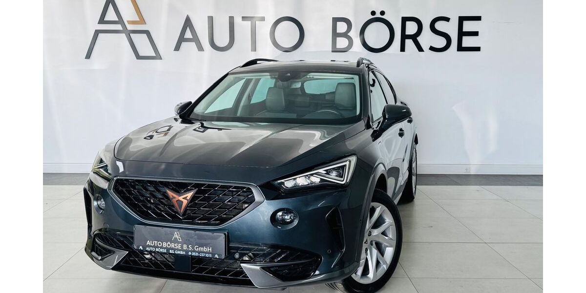 Cupra Formentor 71.340 km 20.890 &euro; Braunschweig 38114